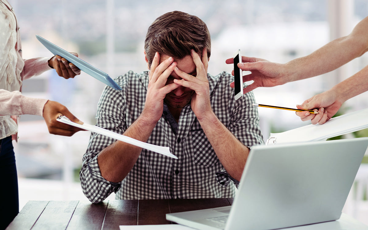 Gut Health in the Modern World: How the Gut Superblend Can Help You Adapt?