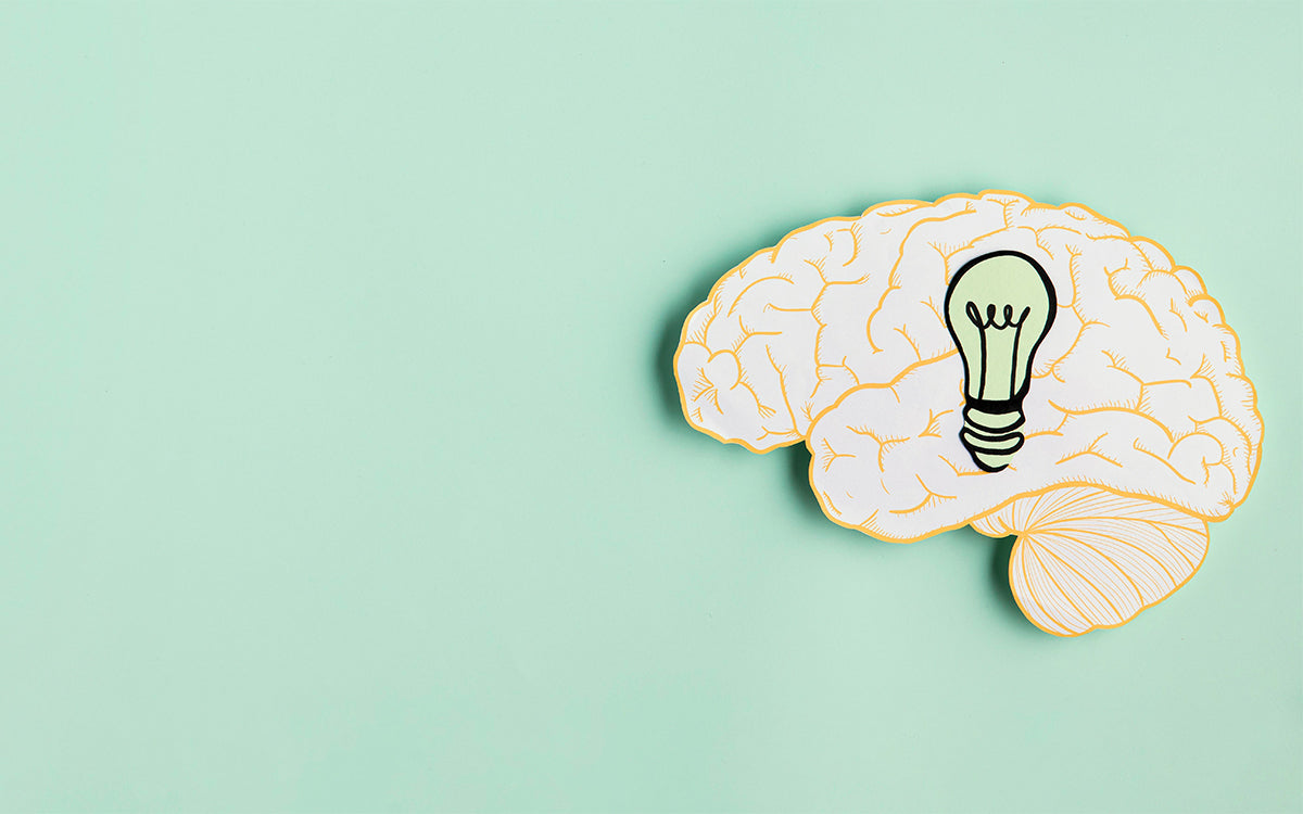 Microbial Memory: Do Gut Bacteria ‘Remember’ Your Stress?