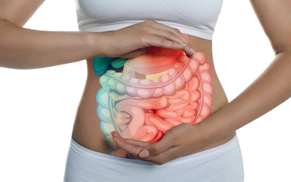 Common Myths About Gut Health  What Science Really Says