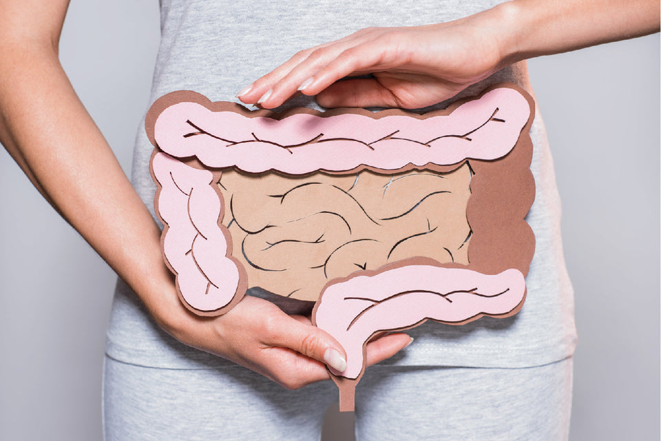 Why Postbiotics Might be the Future of Digestive Health
