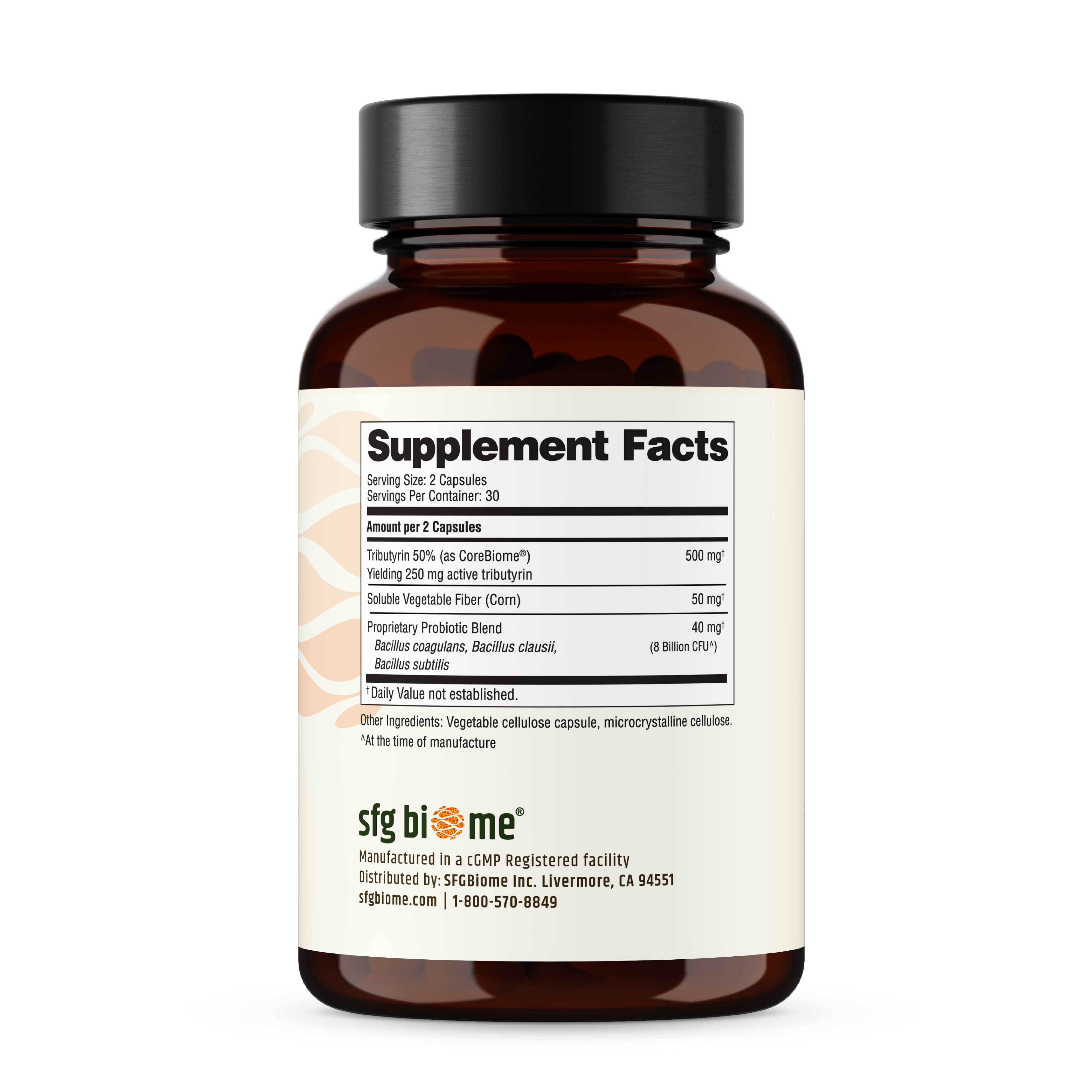 Gut Health – Advanced Synbiotic Formula (Prebiotics + Probiotics + Postbiotics)