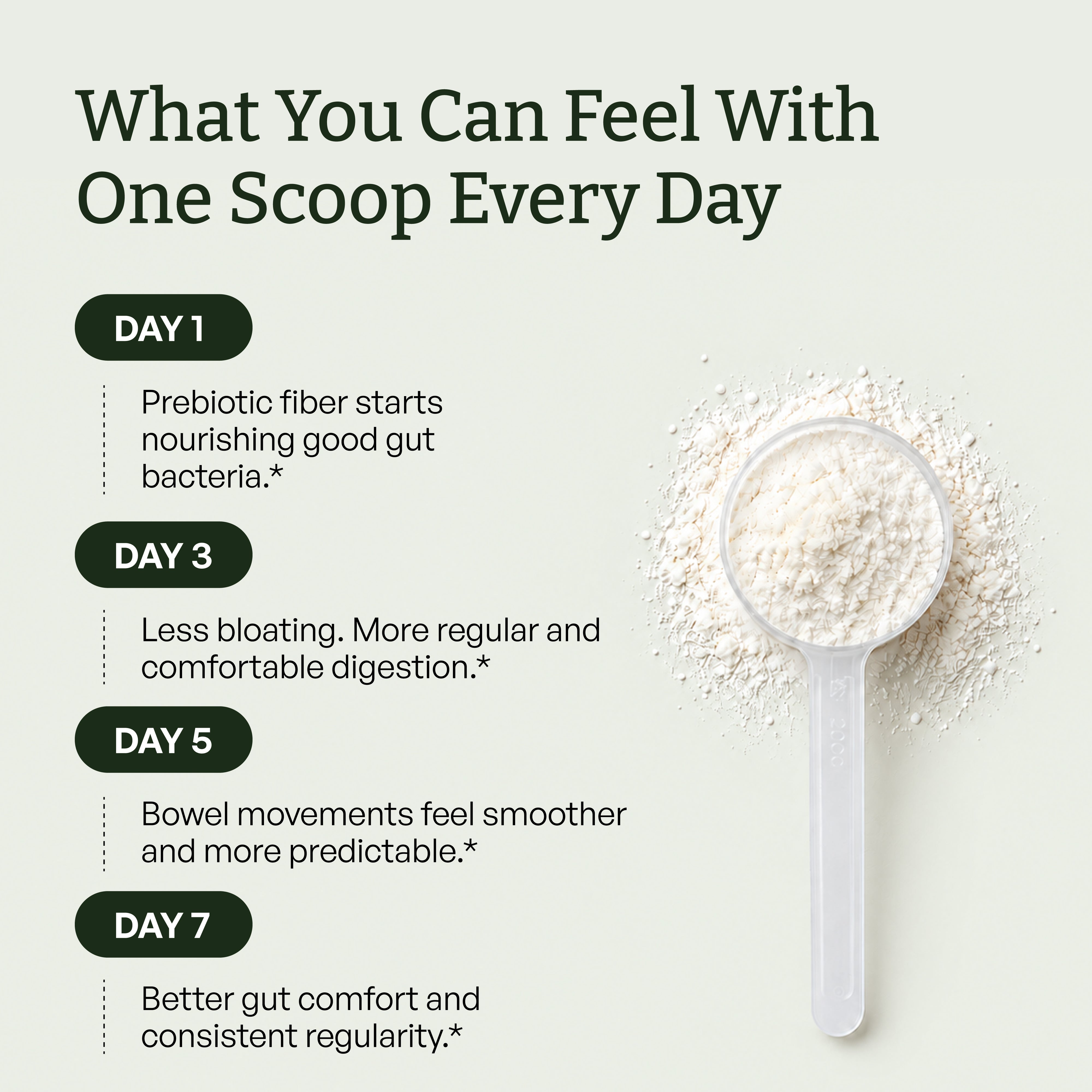 Fiber+ Prebiotic Fiber Boost